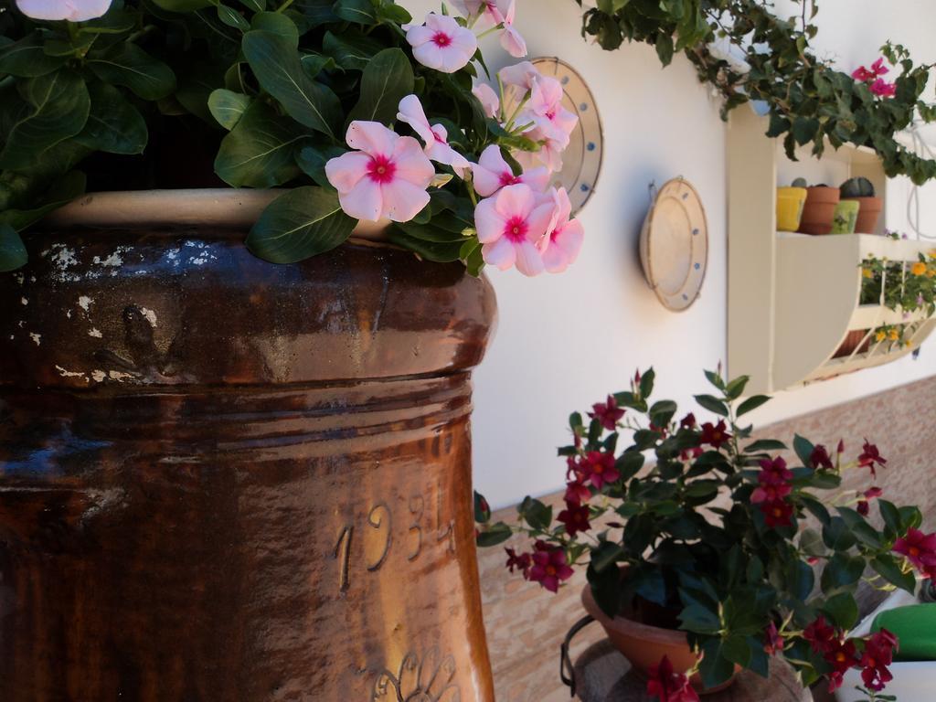B&B Il Viandante Mesagne Exterior foto